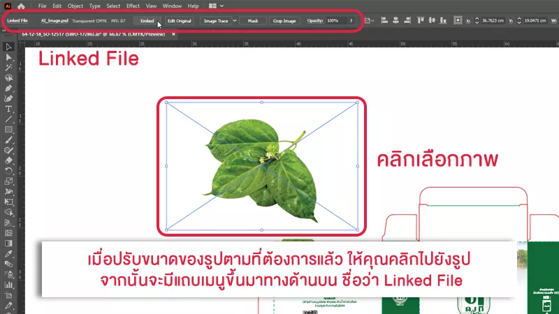 สอนวิธีฝังภาพในไฟล์งานอาร์ตเวิร์ค ก่อนส่งโรงพิมพ์ - Thaiprintshop สอนวิธีฝังภาพในไฟล์อาร์ตเวิร์ค ในงานพิมพ์ต่างๆก่อนส่งโรงพิมพ์ - 03