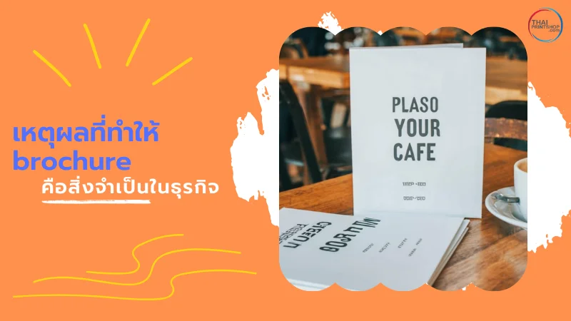ไขคำตอบ brochure คือสิ่งจำเป็นในธุรกิจสินค้าหรือไม่? สำหรับแบรนด์ยุคใหม่ - Thaiprintshop brochure necessity in a product business 02 - Thaiprintshop