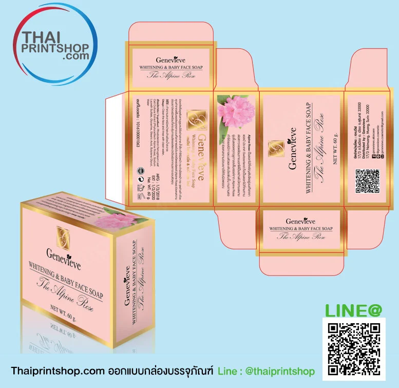 กล่องใส่ผลไม้ - Thaiprintshop AW THAIPRINTSHOP2019 01 - Thaiprintshop
