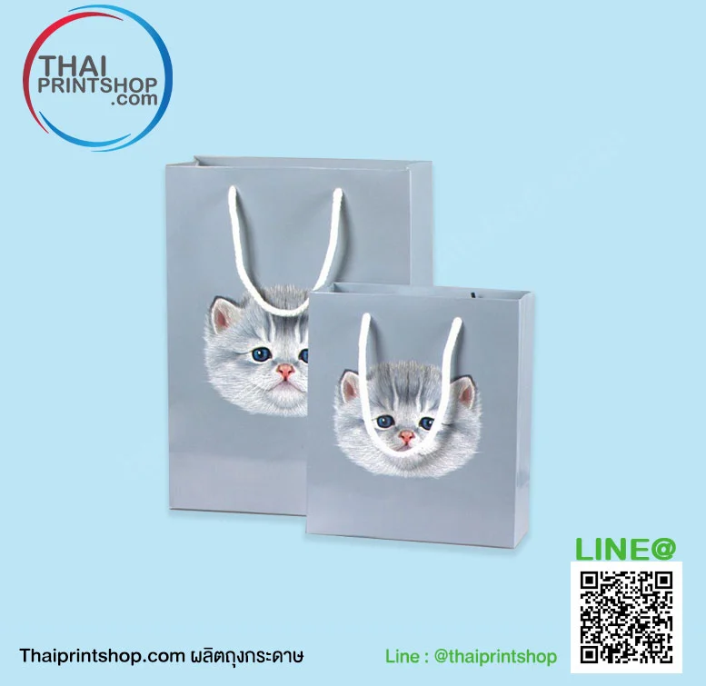 ถุงกระดาษ เคลือบพลาสติก - Thaiprintshop ถุงกระดาษ เคลือบพลาสติก