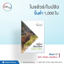 ใบปลิว