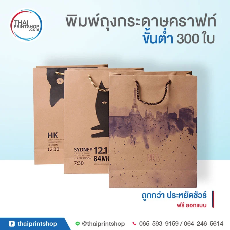 TPS Product Kraft Paper Bag 03 - Thaiprintshop