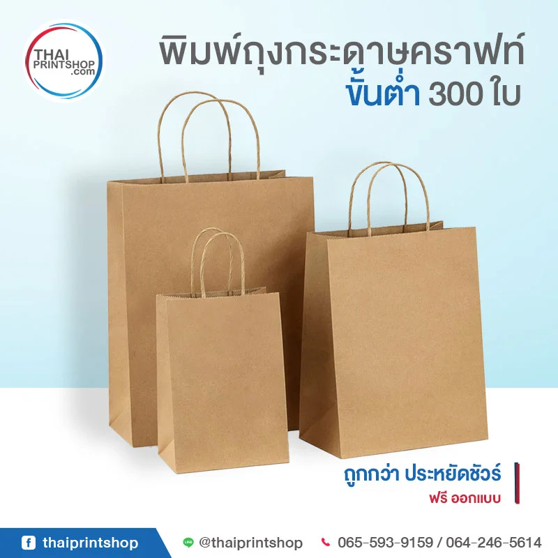 TPS Product Kraft Paper Bag 05 - Thaiprintshop
